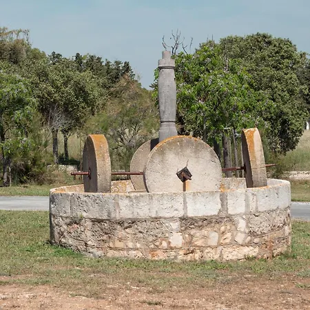 营地 Santo Stefano Village 莫诺波利